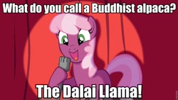 Size: 960x540 | Tagged: safe, cheerilee, earth pony, pony, cheerilee pun, curtain, dalai lama, exploitable meme, female, green eyes, image macro, mare, meme, microphone, open mouth, smiling, solo, spotlight, text, two toned mane, two toned tail