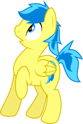 Size: 3200x4770 | Tagged: safe, artist:blueblitzie, oc, oc only, oc:blueberry blitz, pegasus, pony, rule 63, simple background, solo, transparent background, vector
