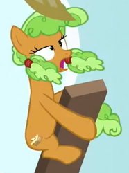 Size: 266x357 | Tagged: safe, apple brown betty, earth pony, pony, apple family reunion, apple family member, solo