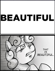 Size: 537x700 | Tagged: safe, sweetie belle, beautiful, captain obvious, exploitable meme, pun, shaped like itself, subversion, subverted meme, that is beautiful