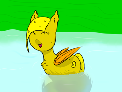 Size: 3200x2400 | Tagged: safe, artist:ampderg, oc, oc only, oc:ducky, bat pony, pony, chest fluff, cute, duck pond, pond, quack, solo, water