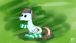 Size: 1920x1080 | Tagged: safe, derpibooru import, oc, oc only, oc:sweetcookie, clothes, green background, simple background, smiley face, socks, solo, striped socks