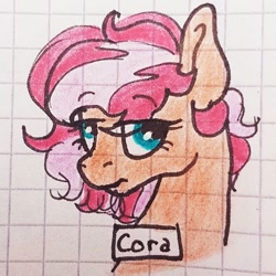 Size: 1080x1080 | Tagged: safe, artist:galaxy.in.mind, derpibooru import, oc, oc only, oc:cora, earth pony, pony, bust, earth pony oc, female, frown, graph paper, mare, traditional art