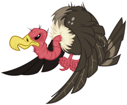 Size: 1024x848 | Tagged: safe, artist:andoanimalia, derpibooru import, bird, the ticket master, buzzard, simple background, transparent background, vector, vulture