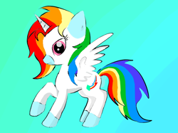 Size: 630x472 | Tagged: artist needed, source needed, useless source url, safe, derpibooru import, oc, alicorn, multicolored hair, rainbow hair, simple background, socks (coat marking)