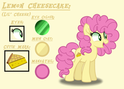 Size: 2084x1504 | Tagged: safe, artist:purplepotato04, derpibooru import, li'l cheese, pony, the last problem, older, reference sheet, solo