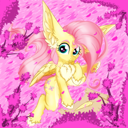 Size: 2500x2500 | Tagged: safe, artist:rurihal, derpibooru import, fluttershy, pegasus, pony, :3, chest fluff, cute, ear fluff, feather, female, hoof fluff, impossibly large ears, large ears, looking at you, mare, raised hoof, scroll, shyabetes, solo, unshorn fetlocks