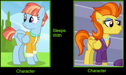 Size: 1024x611 | Tagged: safe, derpibooru import, edit, stormy flare, windy whistles, female, implied sex, mare, meme, shipping