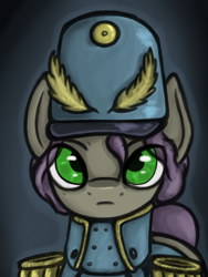 Size: 3000x4000 | Tagged: safe, artist:leo the pone, derpibooru import, oc, oc only, oc:general fine beam, pony, bust, clothes, green eyes, hearts of iron 4, male, portrait, solo, uniform