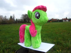 Size: 2816x2112 | Tagged: safe, artist:ravenlady13, derpibooru import, merry may, grass, irl, paper, photo, plushie, scenery, solo