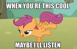 Size: 500x320 | Tagged: safe, derpibooru import, scootaloo, pegasus, pony, dialogue, female, filly, image macro, solo