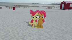 Size: 1024x576 | Tagged: safe, artist:dreamland200, derpibooru import, apple bloom, babs seed, 7-legged race, beach, irl, photo, pier, ponies in real life, rope, tables, vector