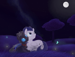 Size: 1600x1200 | Tagged: safe, artist:quartz-poker, derpibooru import, oc, oc only, oc:kuno, oc:warden, changeling, pegasus, pony, bell, bell collar, changeling oc, collar, moon, night, stargazing