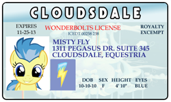 Size: 500x300 | Tagged: safe, derpibooru import, misty fly, cloudsdale, id card, wonderbolts