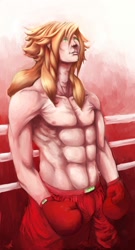 Size: 1080x2000 | Tagged: safe, artist:bradfordsenial, derpibooru import, big macintosh, human, boxing, humanized, male, solo