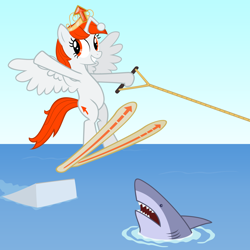 Size: 3000x3000 | Tagged: safe, artist:ohitison, derpibooru import, oc, oc only, oc:karma, alicorn, pony, shark, jump the shark, race swap, reddit, water skiing, waterskiing