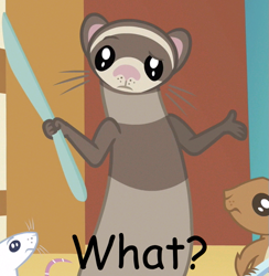 Size: 575x590 | Tagged: safe, derpibooru import, edit, ferret, mouse, squirrel, knife, reaction image, shrug, text