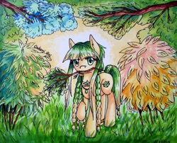 Size: 800x647 | Tagged: safe, artist:0okami-0ni, derpibooru import, oc, oc only, forest, grass, markers, ponified, solo, traditional art