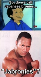 Size: 500x927 | Tagged: safe, derpibooru import, human, carlos, image macro, irl, irl human, japanese, magic school bus, photo, pun, the rock