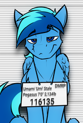 Size: 1587x2327 | Tagged: safe, artist:ralek, oc, oc only, oc:umami stale, pegasus, pony, dog lip, fluffy, lidded eyes, looking at you, mugshot, sitting, smiling, smirk, smug, solo