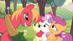 Size: 1152x648 | Tagged: safe, derpibooru import, edit, screencap, apple bloom, big macintosh, scootaloo, sweetie belle, earth pony, pony, ponyville confidential, cutie mark crusaders, faic, frown, inverted mouth, male, scared, stallion