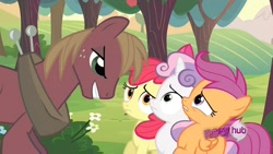 Size: 1152x648 | Tagged: safe, derpibooru import, edit, screencap, apple bloom, big macintosh, scootaloo, sweetie belle, earth pony, pony, cutie mark crusaders, discorded, inverted mouth, male, stallion