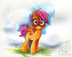 Size: 1718x1344 | Tagged: safe, artist:psychoon, derpibooru import, scootaloo, blushing, grass, looking at you, solo, traditional art