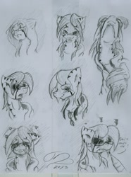 Size: 1683x2257 | Tagged: safe, artist:digitaldomain123, derpibooru import, oc, oc only, concept art, doodle, expressions, sketch, traditional art