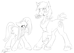 Size: 1280x909 | Tagged: safe, artist:drizziedoodles, big macintosh, marble pie, earth pony, pony, hearthbreakers, black and white, blushing, flower, grayscale, male, marblemac, monochrome, shipping, shy, stallion, straight