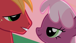 Size: 1280x720 | Tagged: safe, derpibooru import, screencap, big macintosh, cheerilee, earth pony, pony, cheerimac, male, out of context, shipping, stallion, straight