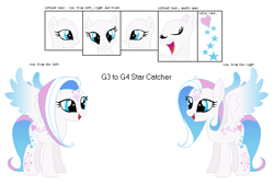 Size: 993x670 | Tagged: safe, artist:eeveepikachuchan, derpibooru import, star catcher, g3, g4, g3 to g4, generation leap, reference sheet