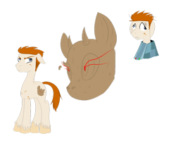 Size: 1024x819 | Tagged: safe, artist:hellangelwolfrevenge, derpibooru import, cutie mark, ponified, revenge of the island, scott, total drama island