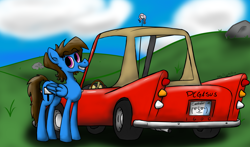 Size: 6800x4000 | Tagged: safe, artist:skydiggitydive, derpibooru import, oc, oc only, oc:sky dive, pegasus, pony, car, countryside, le lenny face, license plate, male, smiling, solo, stallion