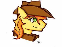 Size: 3503x2667 | Tagged: safe, artist:mcbain, derpibooru import, braeburn, kh style, profile, solo