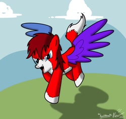 Size: 900x847 | Tagged: safe, artist:nexivian, derpibooru import, oc, oc only, pegasus, pony, fanart, odd coat, solo, spread wings, tricolored pony