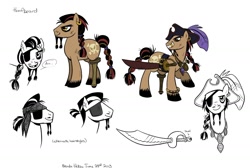 Size: 1200x807 | Tagged: safe, artist:brendahickey, derpibooru import, idw, earth pony, pony, spoiler:comic, amputee, captain hoofbeard, official, reference sheet