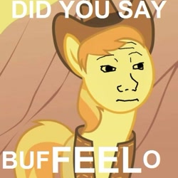 Size: 475x475 | Tagged: safe, artist:acstlu, derpibooru import, edit, edited screencap, screencap, braeburn, buffalo, over a barrel, clothes, cropped, feels, hat, image macro, pun, solo, tfw, that feel, vest, wojak