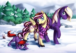 Size: 750x522 | Tagged: safe, artist:shinepawpony, derpibooru import, oc, oc only, clothes, family, scarf, snow, winter