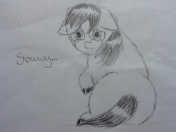 Size: 1024x768 | Tagged: safe, artist:waggytail, derpibooru import, fluffy pony, crying, monochrome, sad, solo, sorry, traditional art