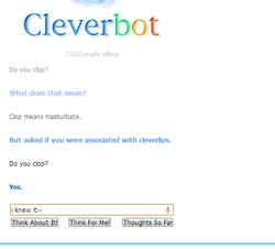 Size: 504x456 | Tagged: safe, derpibooru import, cleverbot, clopping, implied masturbation, meme, text