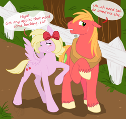 Size: 900x848 | Tagged: safe, artist:cartoonlion, derpibooru import, big macintosh, oc, oc:cherry twist, pegasus, pony, blushing, bow, canon x oc, female, fence, flirting, innuendo, male, mare, straight, sweat