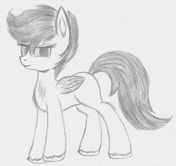 Size: 1445x1357 | Tagged: safe, artist:liquidarrow-x, derpibooru import, scootaloo, monochrome, solo, traditional art