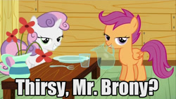 Size: 854x480 | Tagged: safe, derpibooru import, edit, edited screencap, screencap, scootaloo, sweetie belle, bronybait, caption, implied drugging, lidded eyes, mr. brony, out of context, text