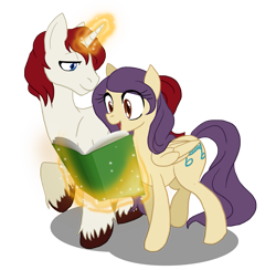 Size: 859x839 | Tagged: safe, artist:the-orator, derpibooru import, oc, oc only, book, magic, telekinesis, unshorn fetlocks