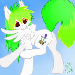 Size: 1024x1024 | Tagged: safe, artist:echowingedwolf, derpibooru import, oc, oc only, pegasus, pony, preening, solo