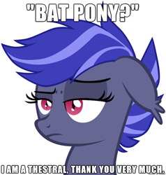 Size: 610x642 | Tagged: safe, artist:zee66, derpibooru import, oc, oc only, oc:night watch, bat pony, pony, floppy ears, frown, headcanon, image macro, raised eyebrow, solo, unamused