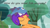 Size: 500x278 | Tagged: safe, derpibooru import, edit, edited screencap, screencap, scootaloo, fish, sleepless in ponyville, hat, insane pony thread, solo