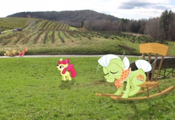 Size: 2591x1784 | Tagged: safe, artist:sinayastarchild, artist:smurph12345, derpibooru import, apple bloom, big macintosh, granny smith, earth pony, pony, cart, chair, field, hay, irl, male, photo, ponies in real life, power line, road, stallion, vector