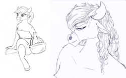 Size: 800x496 | Tagged: safe, artist:queencold, derpibooru import, oc, oc only, minotaur, monochrome, sketch, solo