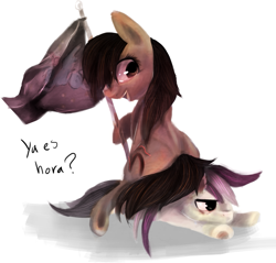 Size: 1015x969 | Tagged: safe, derpibooru import, roseluck, oc, oc:maría teresa de los ponyos paguetti, mariareplies, spanish, ya es hora